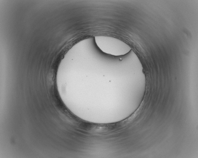 X0000115830174200912111320