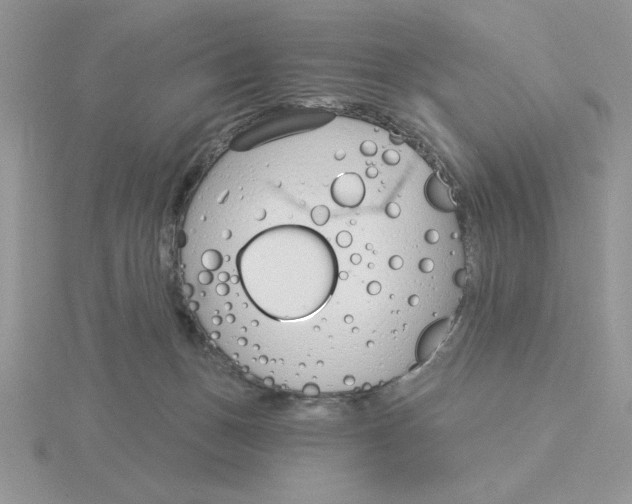 X0000115830175200912111320