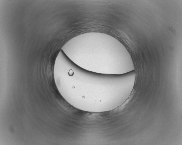 X0000115830186200912111320