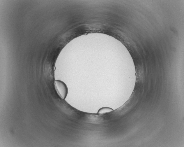 X0000115830187200912111320