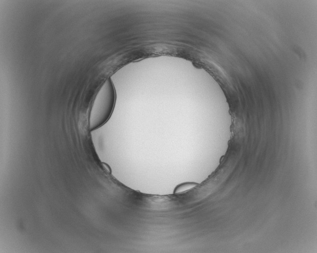 X0000115830189200912111320