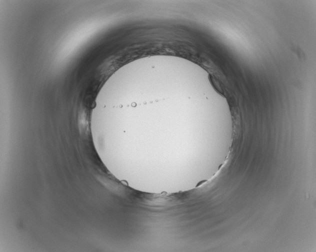 X0000115830191200912111320