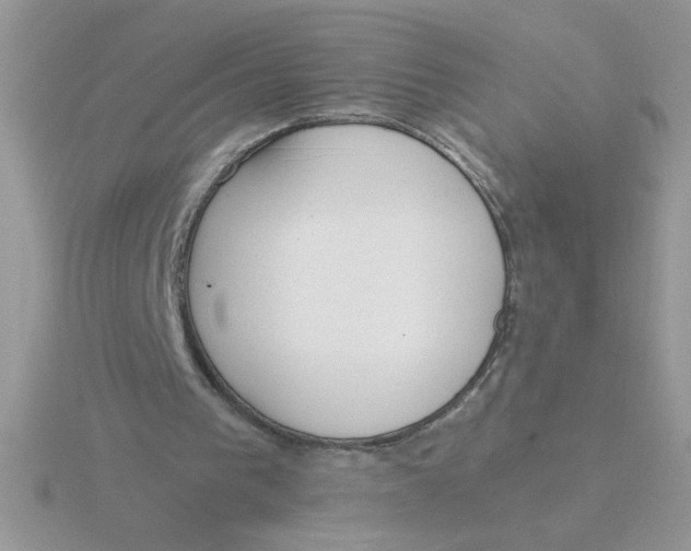 X0000115830193200912111319