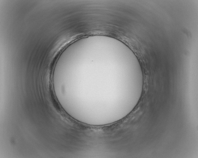 X0000115830194200912111319