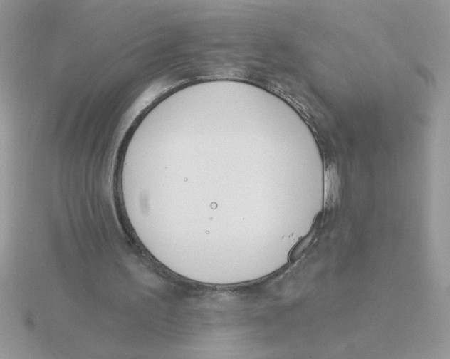 X0000115830195200912111319