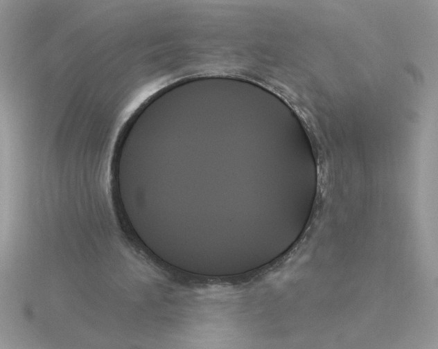 X0000115830196200912111319