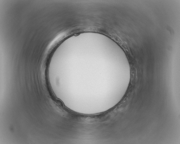 X0000115830197200912111319