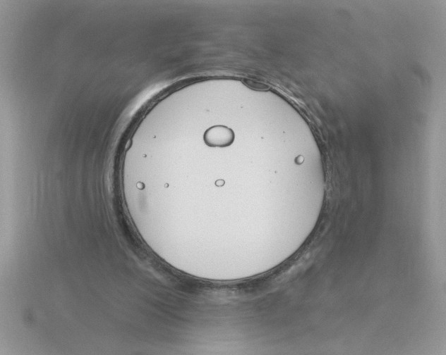 X0000115830200200912111319