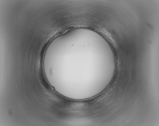 X0000115830202200912111319