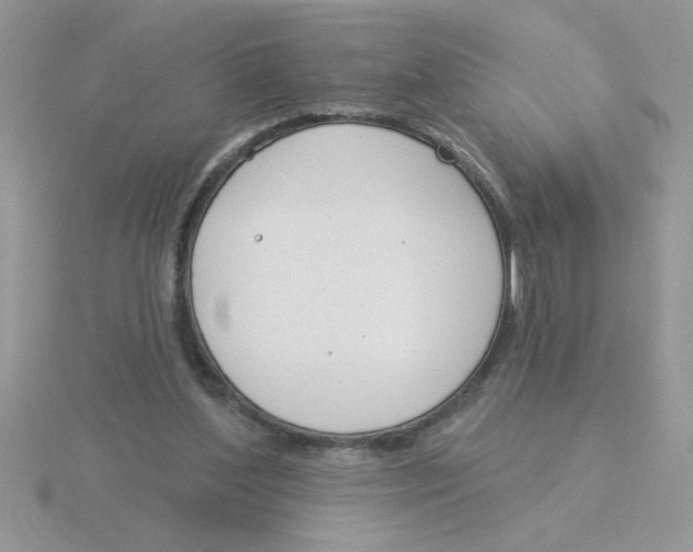 X0000115830204200912111319