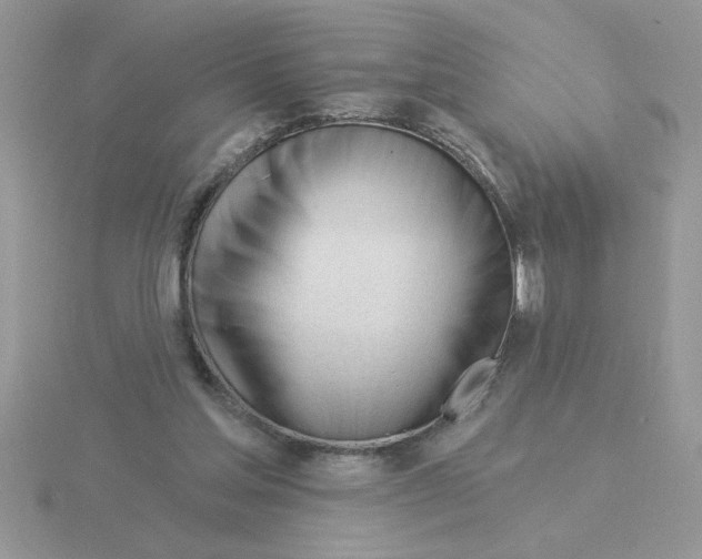 X0000115830205200912111319