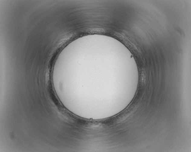 X0000115830206200912111319