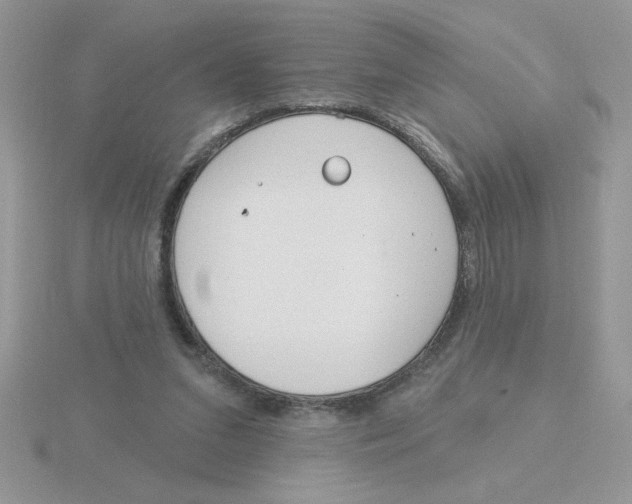 X0000115830207200912111319