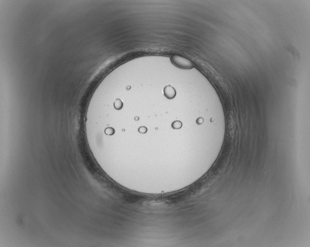 X0000115830208200912111319