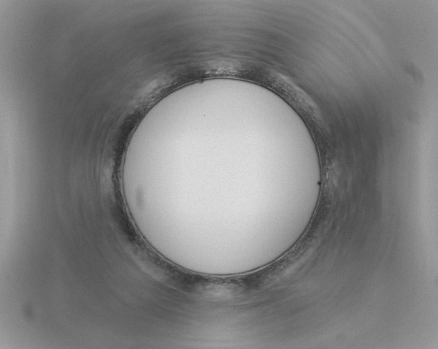 X0000115830209200912111319