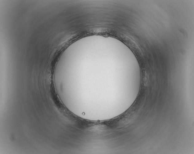 X0000115830210200912111319