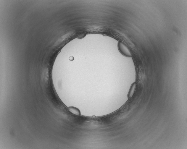 X0000115830211200912111319