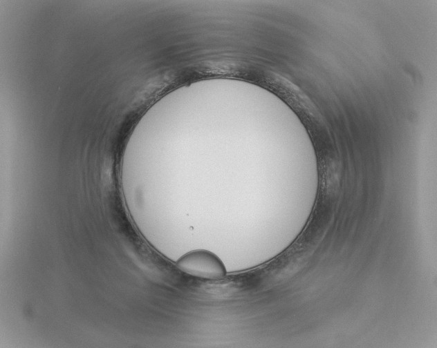 X0000115830213200912111319