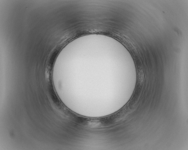 X0000115830214200912111319