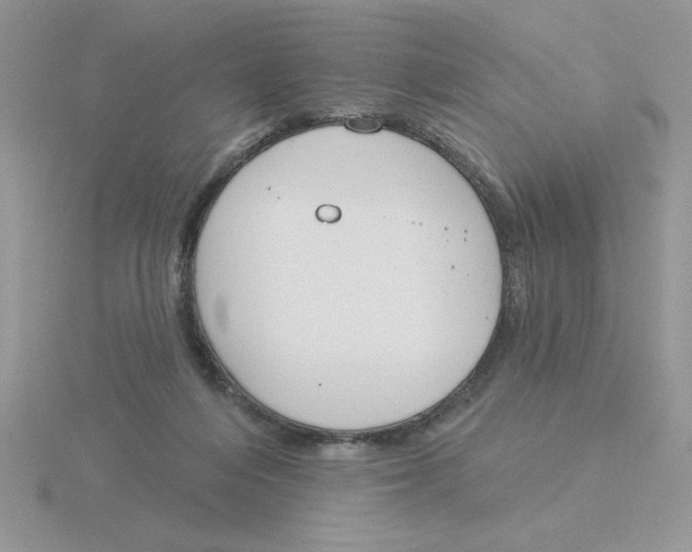 X0000115830216200912111319