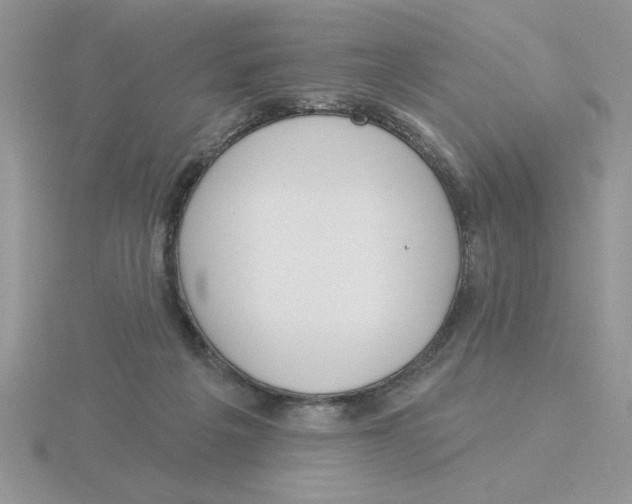 X0000115830217200912111319