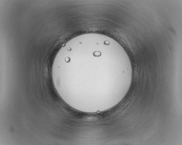 X0000115830220200912111319