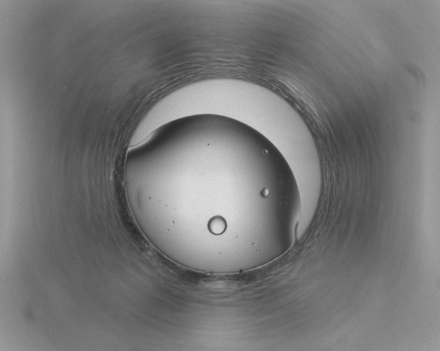 X0000115830221200912111319