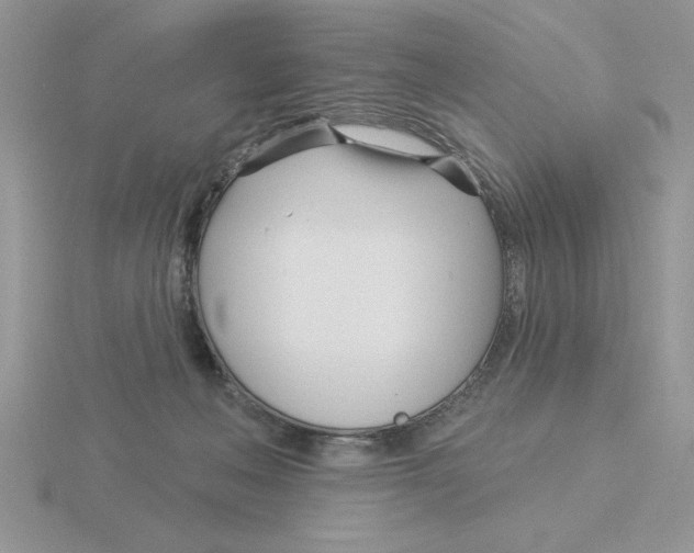 X0000115830222200912111319