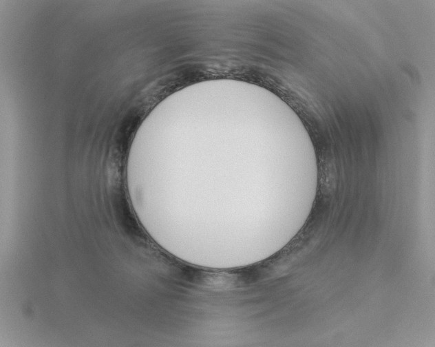 X0000115830226200912111319