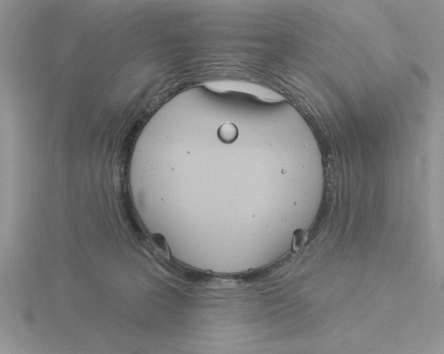 X0000115830227200912111319