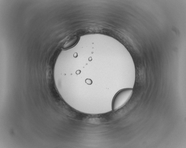 X0000115830228200912111319