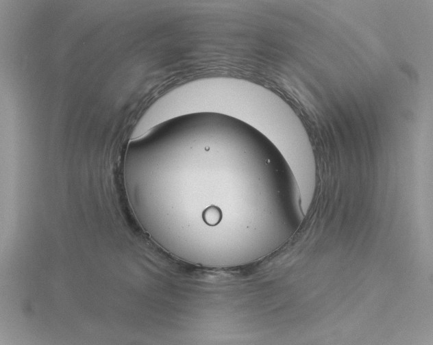 X0000115830229200912111319