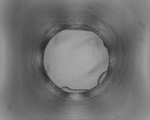 X0000115830231200912111319