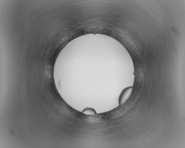 X0000115830232200912111319