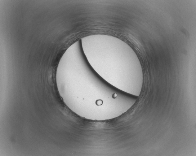 X0000115830233200912111319