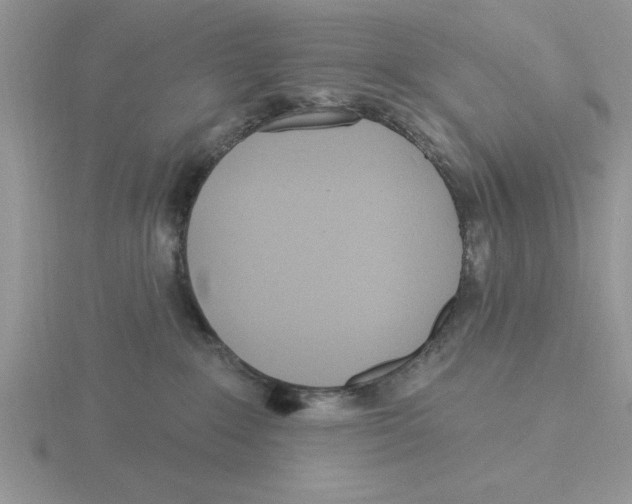 X0000115830235200912111319