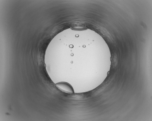 X0000115830236200912111319