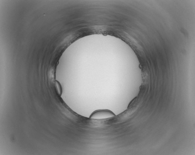 X0000115830238200912111319