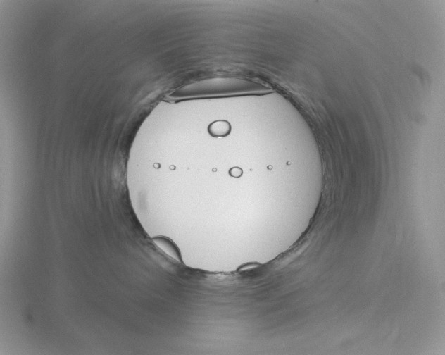 X0000115830240200912111319