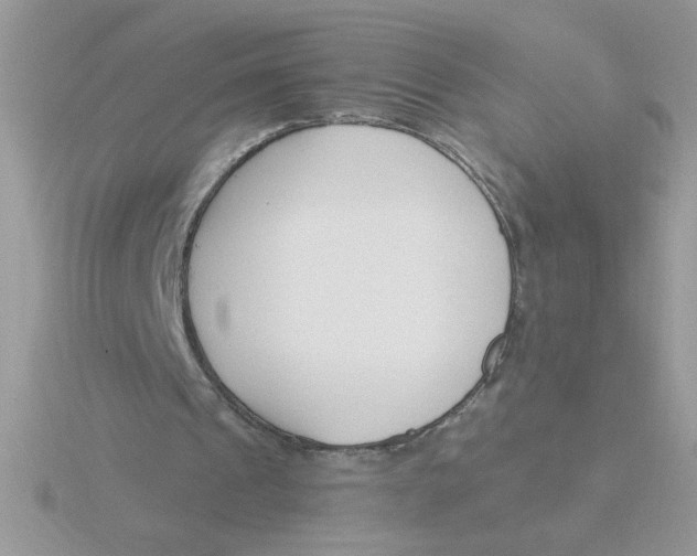 X0000115830241200912111318