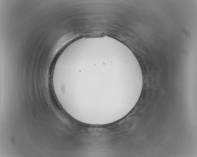 X0000115830242200912111318