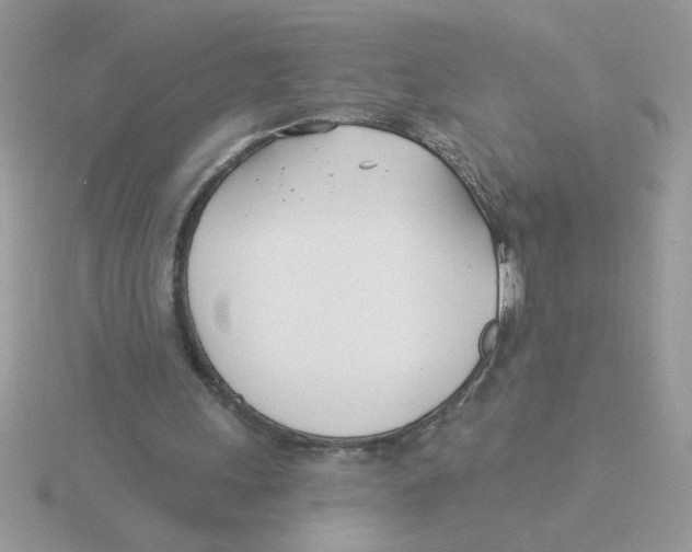 X0000115830243200912111318