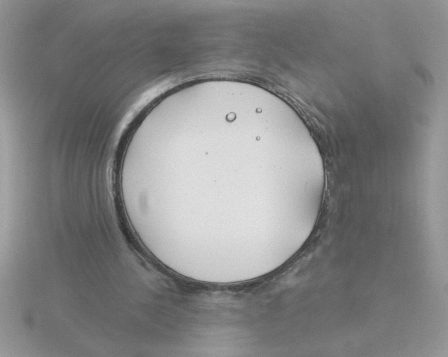 X0000115830244200912111318