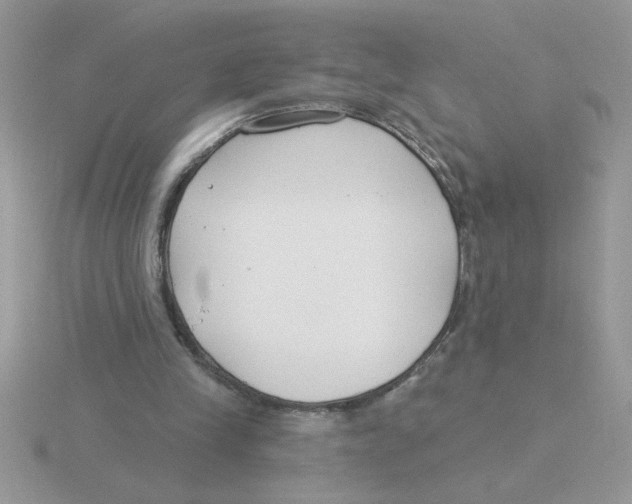 X0000115830245200912111318