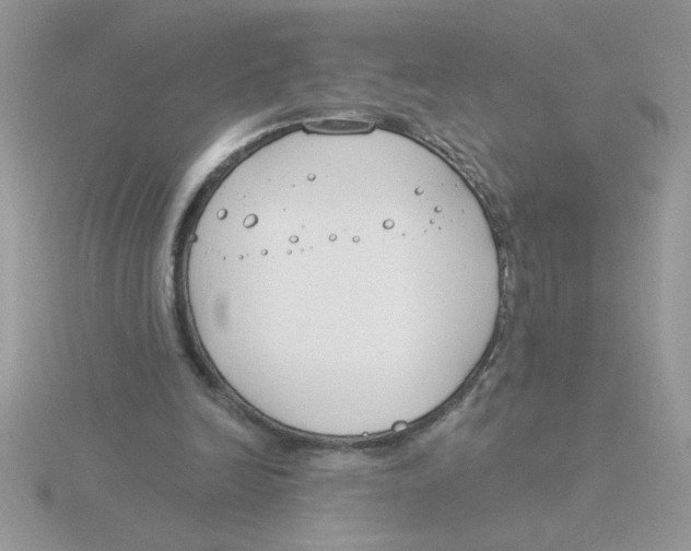 X0000115830246200912111318