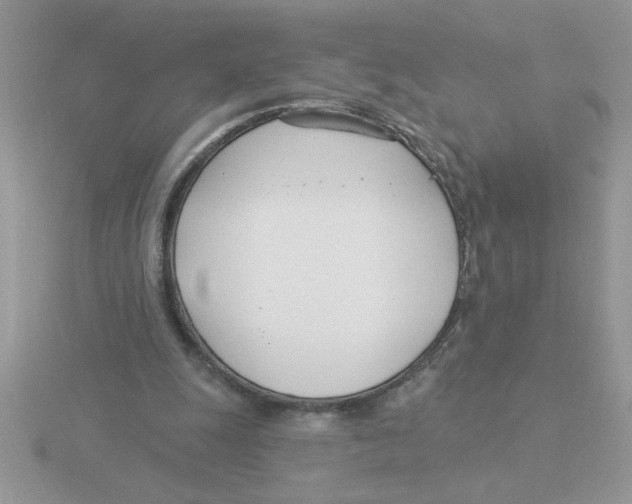 X0000115830247200912111318