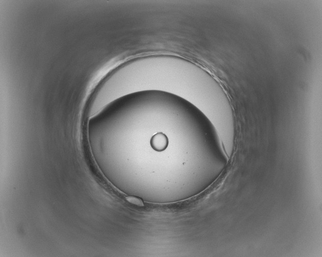 X0000115830248200912111318