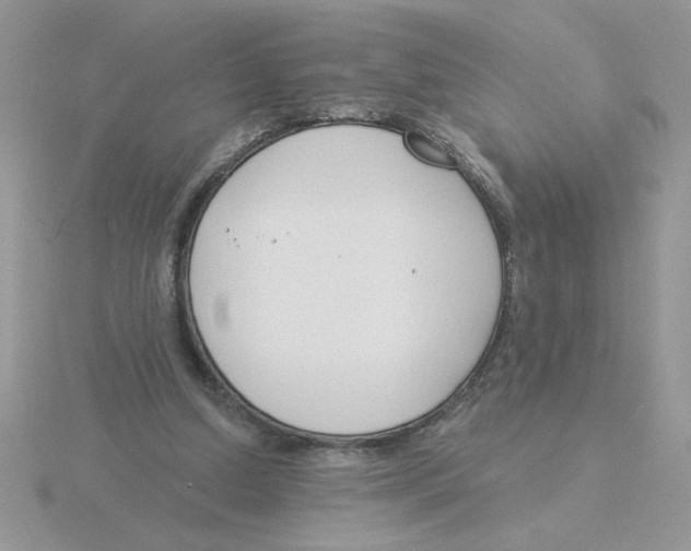 X0000115830250200912111318