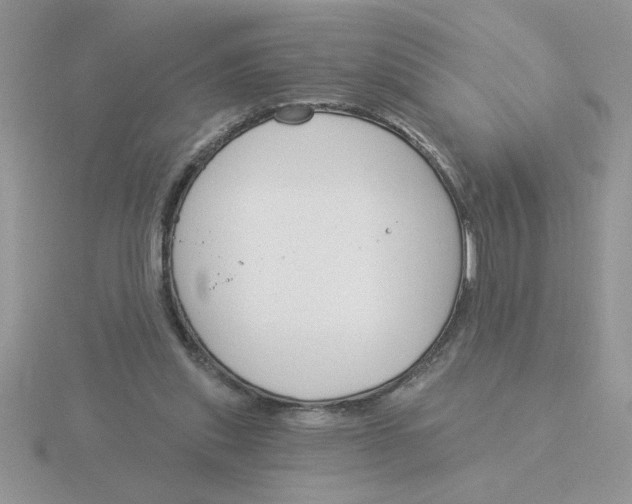 X0000115830253200912111318