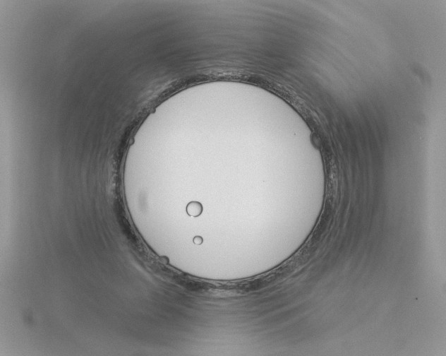 X0000115830255200912111318